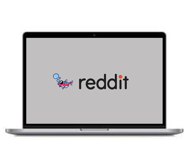 reddit-seo-protocol-rank-reddit-bowtiedtetra